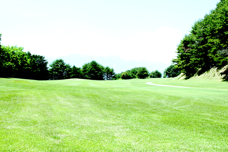 绿谷乡村俱乐部高尔夫球场(Country Club Green Valley)