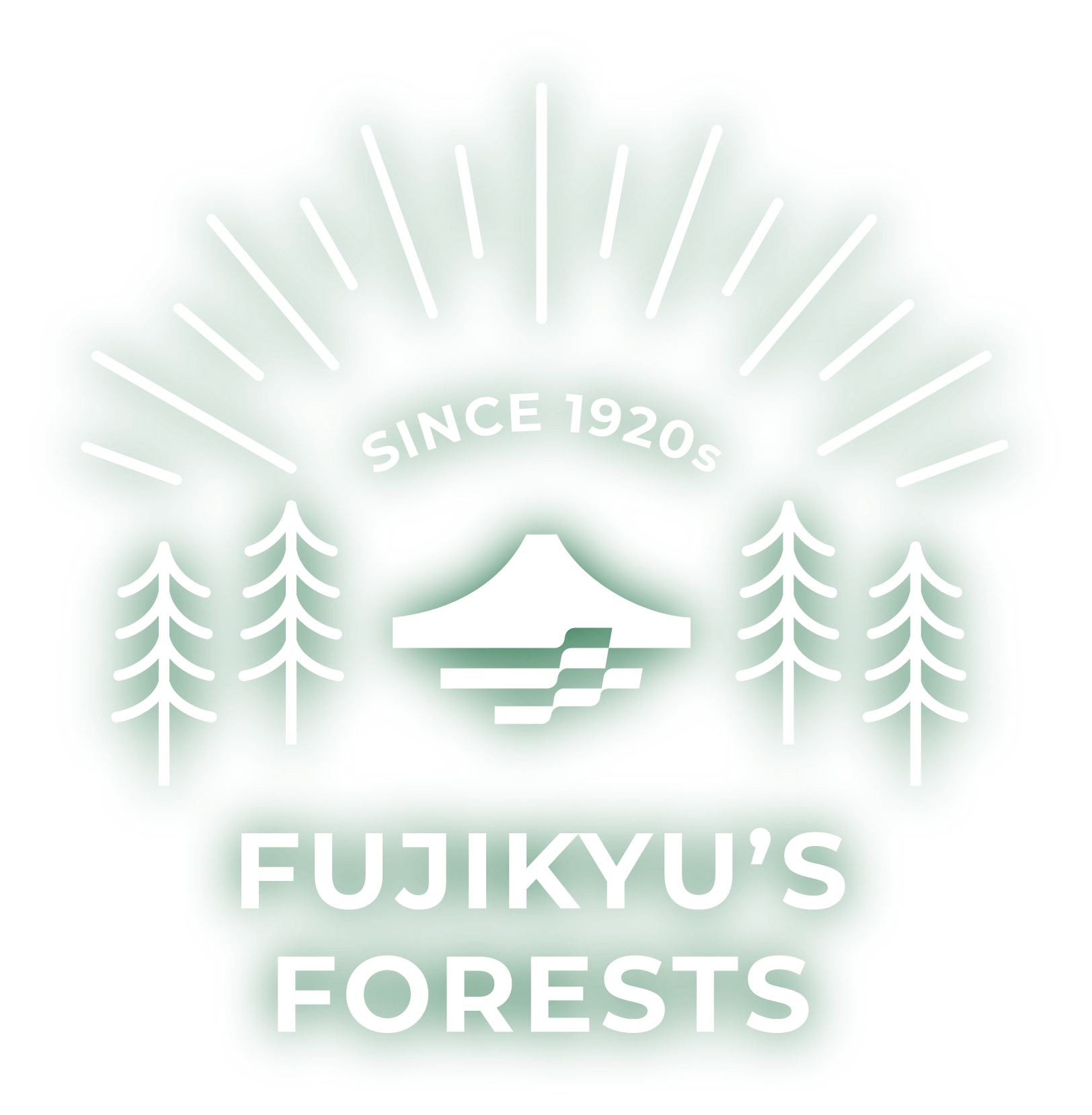 Fujikyu’s Forests