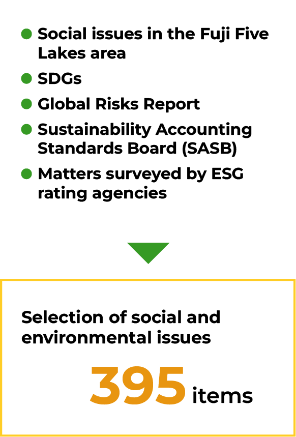 Selection of social and environmental issues for consideration